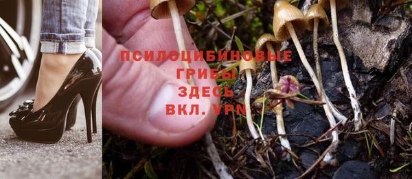 ALPHA PVP Армянск